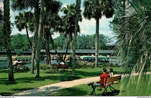 FLorida Silver Springs Landscaped Park Along Spring Basin