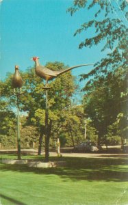 Aberdeen South Dakota Pheasants Sculptures on Hwy US 12  Postcard Unused