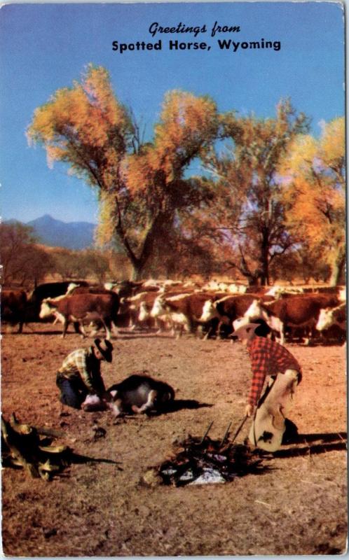 Greetings from SPOTTED HORSE, WY Wyoming  RANCH-BRANDING Time c1950s  Postcard