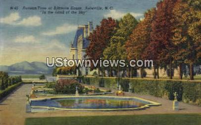 Biltmore House Asheville NC Unused