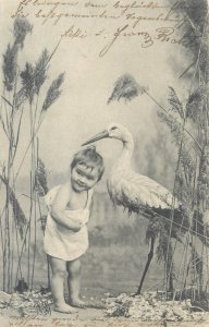 Baby & stork bird old birthday allegory postcard 1905 Nagyszeben cancel Romania 