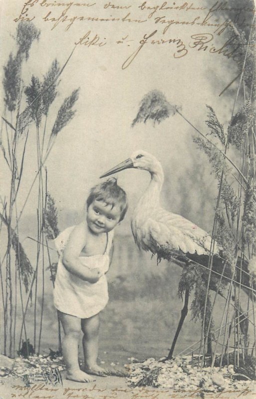 Baby & stork bird old birthday allegory postcard 1905 Nagyszeben cancel Romania 