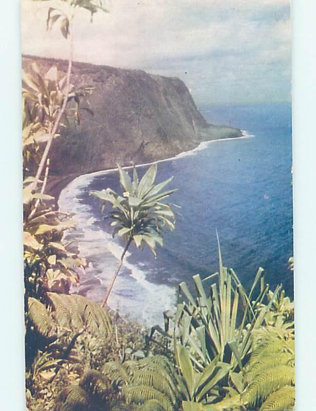 Pre-1980 SHORELINE Waipio Valley In Hamakua District Hawaii HI hp5881