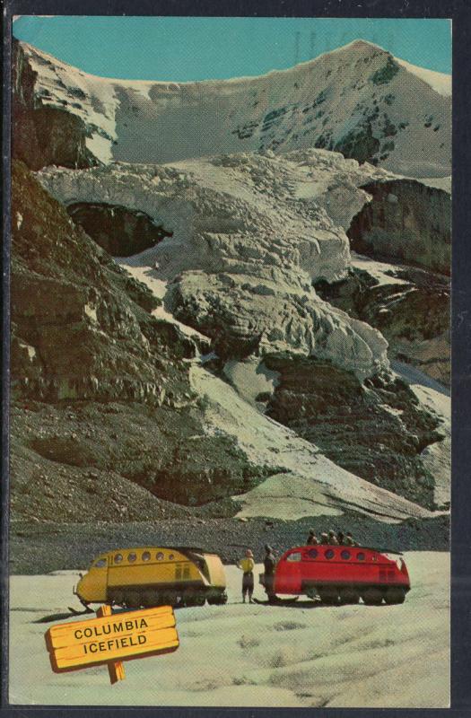 Columbia Icefield,Canadian Rockies BIN