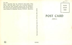 Montana Spotted Ass Fishtail, Montana, USA Donkey Postcard