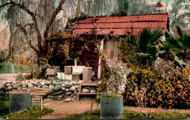 California Santa Anita 49er Cabin At Lucky Baldwin's Ranch 1911