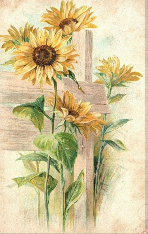 1880s-90s Yellow Flowers Summit Stoves Foundry Co. Geneva NY Trade Card