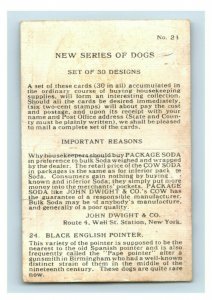 1900s Dwight's Soda New & Champion Dog Series Bobtail Sheep Dog Lot Of 5 P222