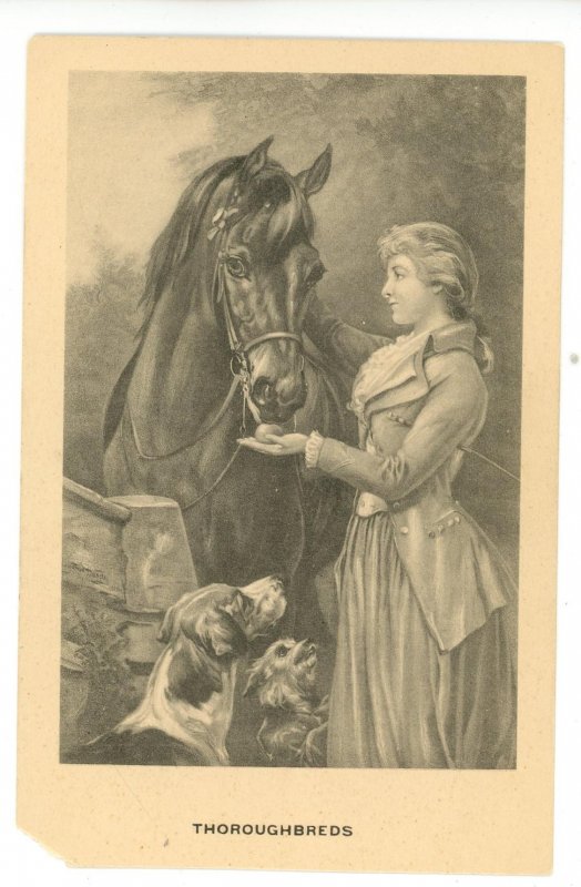 Thoroughbreds - Lady, Horse & Dogs  (corner missing)