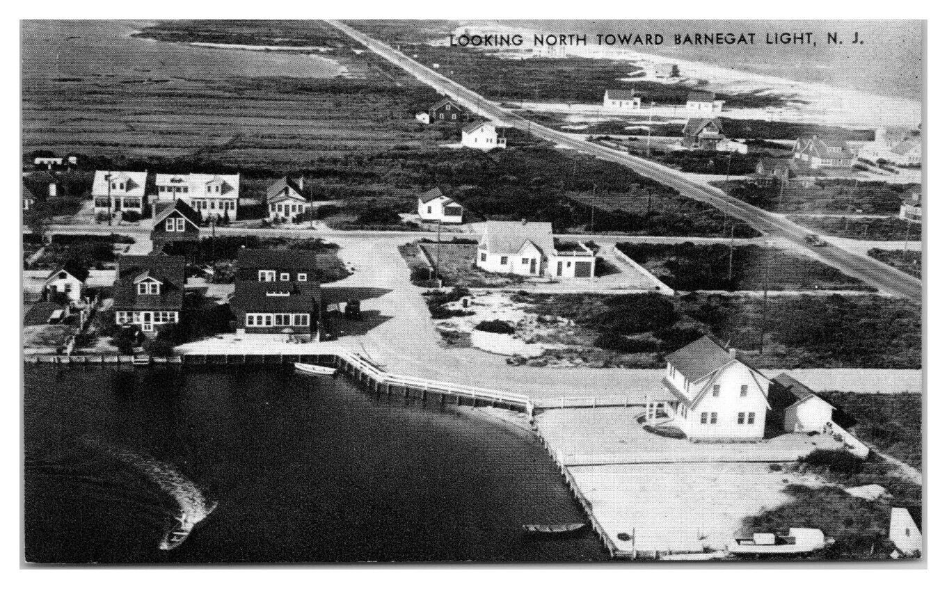 Looking North Toward Barnegat Light, NJ Postcard *5A United States