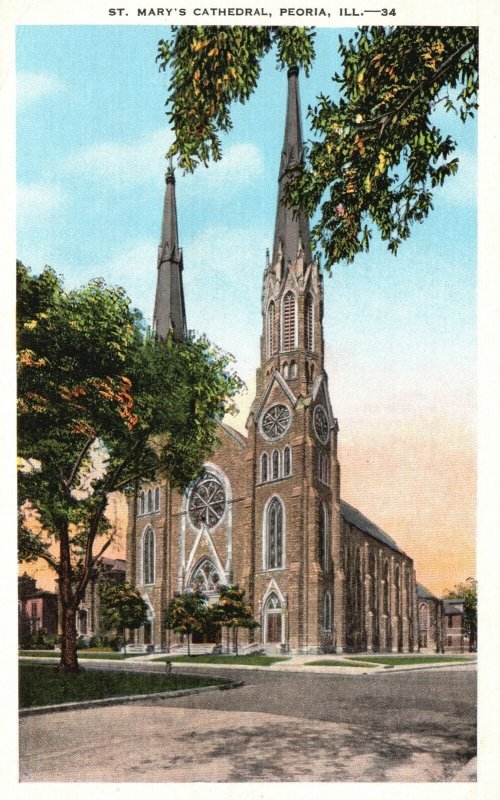 Vintage Postcard 1949 St. Mary's Cathedral Peoria Illinois Hartman Bros News Pub