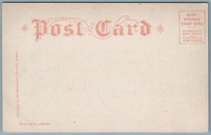 AMSTERDAM NY MAIN STREET UNDIVIDED ANTIQUE POSTCARD