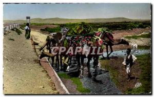 Old Postcard African Scenes and Types RV drinking from a water point Camel Camel