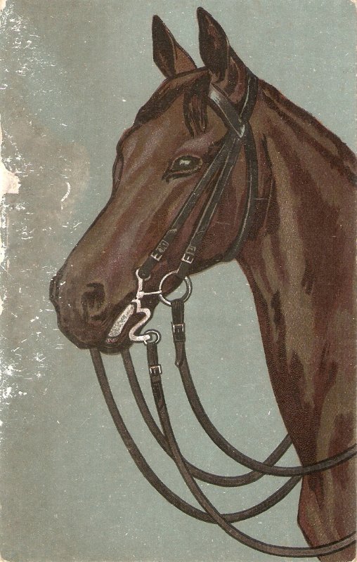 A Horse Old vintage French postcard