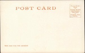 Jacksonville Florida FL Hemming Park 8139 Detroit Publishing c1910 Postcard