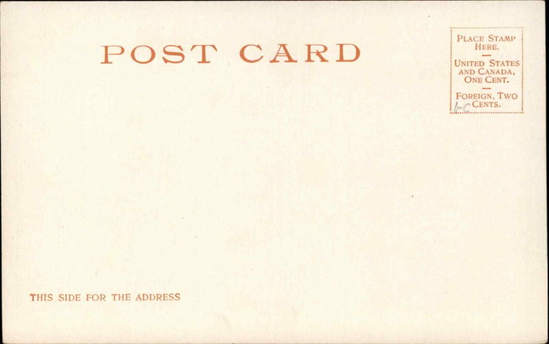 Jacksonville Florida FL Hemming Park 8139 Detroit Publishing c1910 Postcard