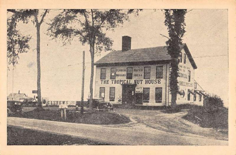 East Belfast Maine Tropical Nut House Street View Antique Postcard K86152