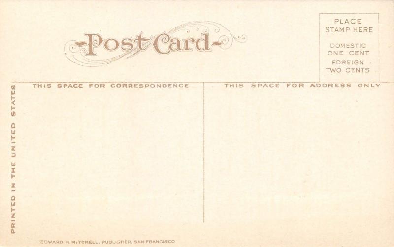 Salem Oregon~Eyelash Windows, Dormers on High School~Homes Behind~c1910 Postcard