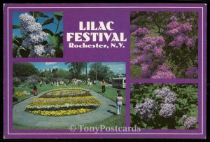 Lilac Festival