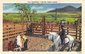 Calf Branding Stock Yards Cattle Ranching Farming Nevada linen postcard