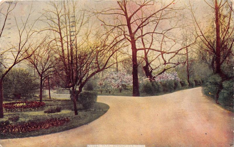 SPRINGFIELD OHIO SNYDER PARK~DOGWOODS ? IN BLOOM POSTCARD 1910