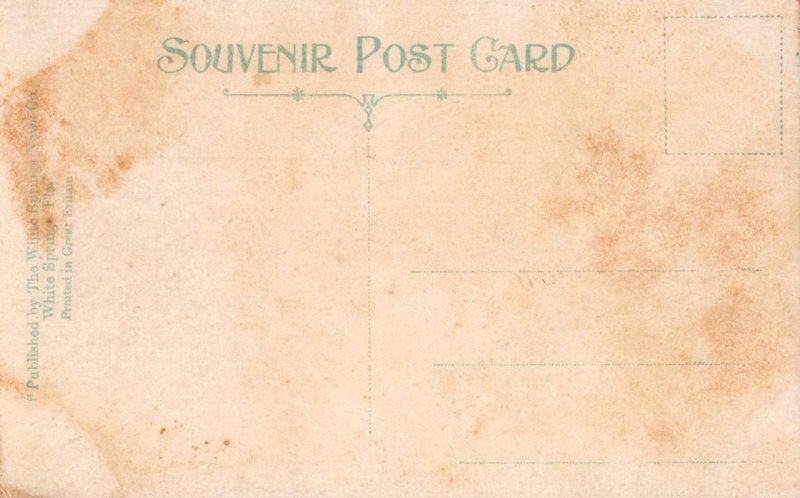 LOVERS LANE WHITE SPRINGS FLORIDA POSTCARD (c. 1910)