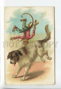 3182955 RUSSIA CIRCUS smoking monkey riding dog Vintage pc