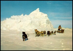 Dog Team on Arctic Ocean Ice