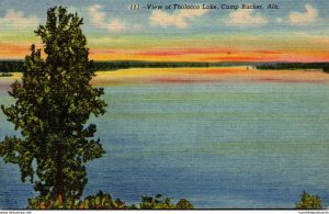 Alabama Camp Rucker View Of Tholocco Lake Curteich