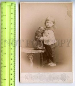 484488 girl stuffed parrot CABINET photo Mitreuter Petrovka Kuznechny Moscow 