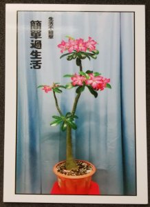 [AG] P103 Malaysia Adenium Obesum Flower Flora Plant Simple Life (postcard) *New