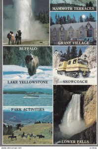 YELLOWSTONE National Park ,1960-80s