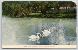 Kansas City Missouri~Mt Washington Cemetery~Swans Confront Little Duckies~1908