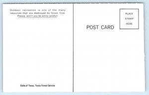 TEXAS FOREST SERVICE ~ Fire Prevention SMOKEY BEAR  c1960s  Postcard