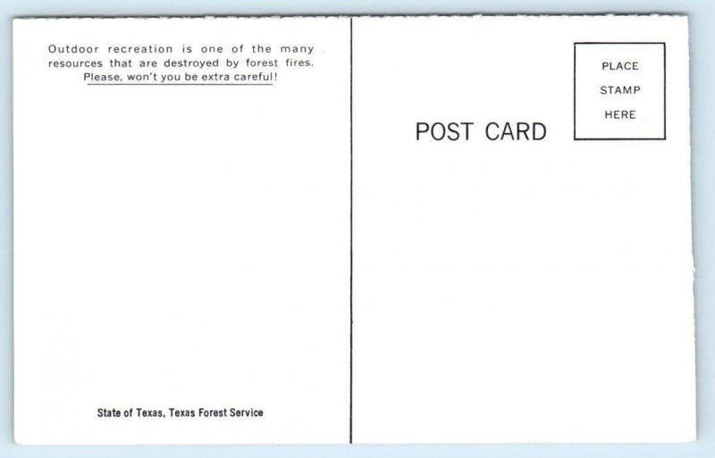 TEXAS FOREST SERVICE ~ Fire Prevention SMOKEY BEAR  c1960s  Postcard