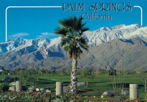 USA Palm Springs California Vintage Postcard BS.09