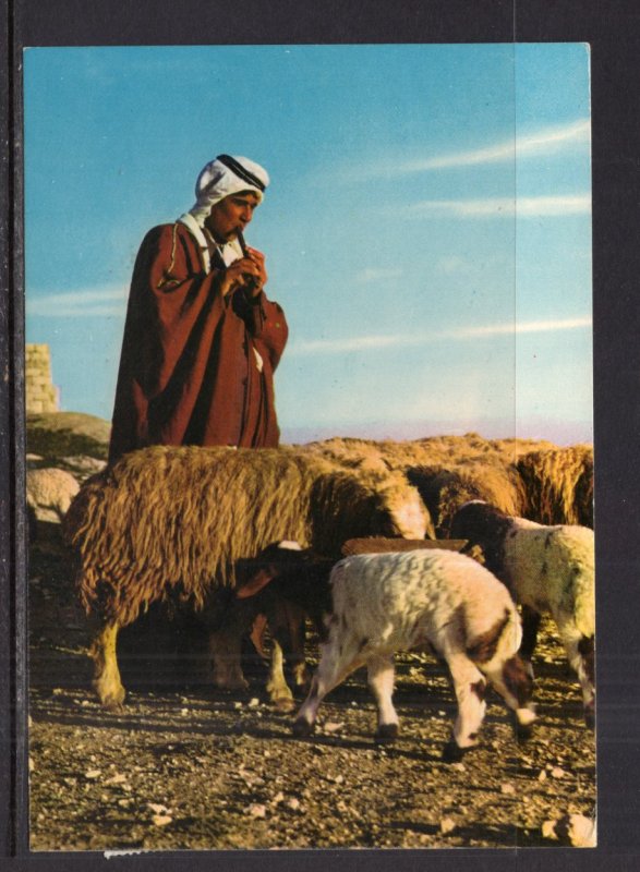 Shepherd Boy,Israel BIN