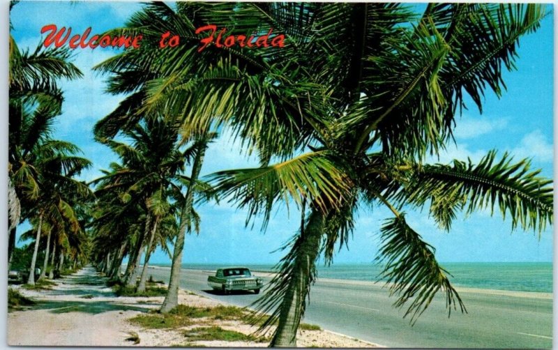 Postcard - Welcome to Florida