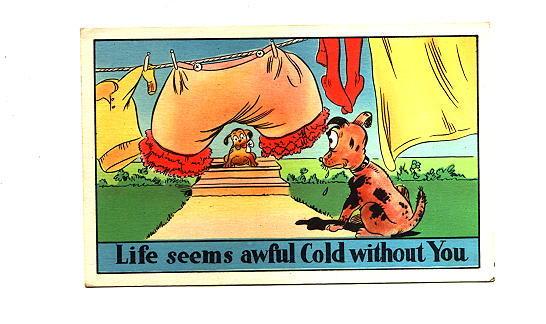 Two Dogs, Woman's Bloomers, Comic Cartoon, Cold Without You, Humour
