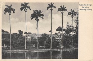 Codrington College Barbados West Indies Unused 