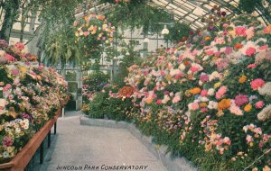 Vintage Postcard 1911 Lincoln Park Conservatory Colorful Garden Chicago Illinois