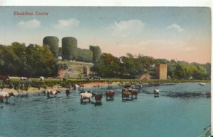 Wales Postcard - Rhuddlan Castle - Denbighshire - TZ11816