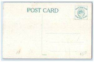 c1910 First National Bank Savings Bank Exterior Peoria Illinois Vintage Postcard