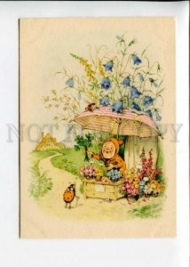 3141896 BEETLE & GNOME Flower Shop by BAUMGARTEN old 