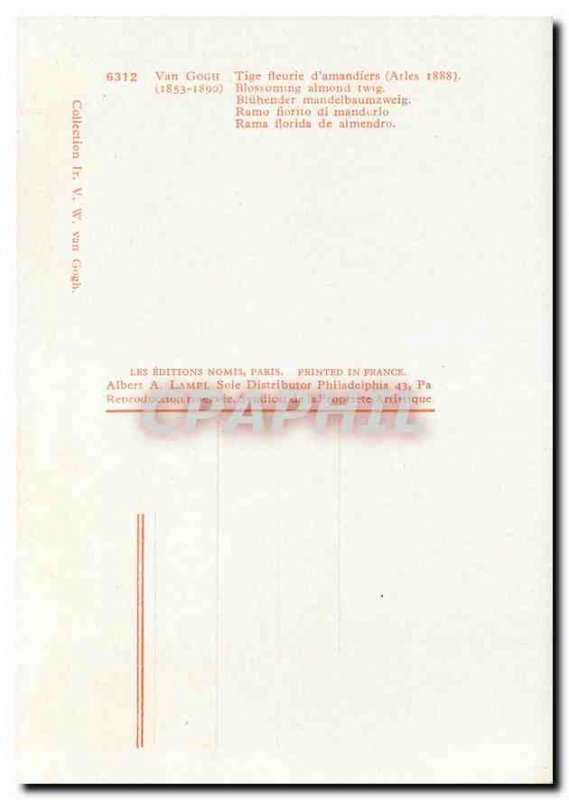 Modern Postcard Van Gogh almond flower stem