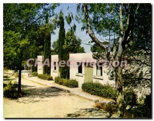 Postcard Modern Family Village Vacances Les Chalets is safe from Eucalyptus L...