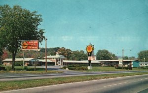 Vintage Postcard 1973 Black Horse Motel Landscaped Springfield Massachusetts MA