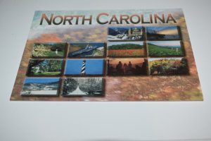 Four Seasons in North Carolina APS Postcard Made in Italy K1-4059