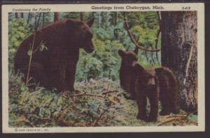 Greetings From Cheboygan,MI,Bears Postcard 