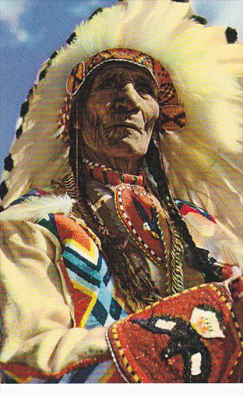 Canada Chief Sitting Eagle Of The Stony Tribe